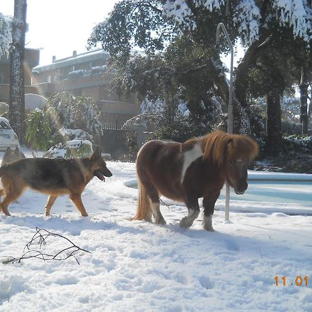 Relais La Canfora Rzym Zewnętrze zdjęcie